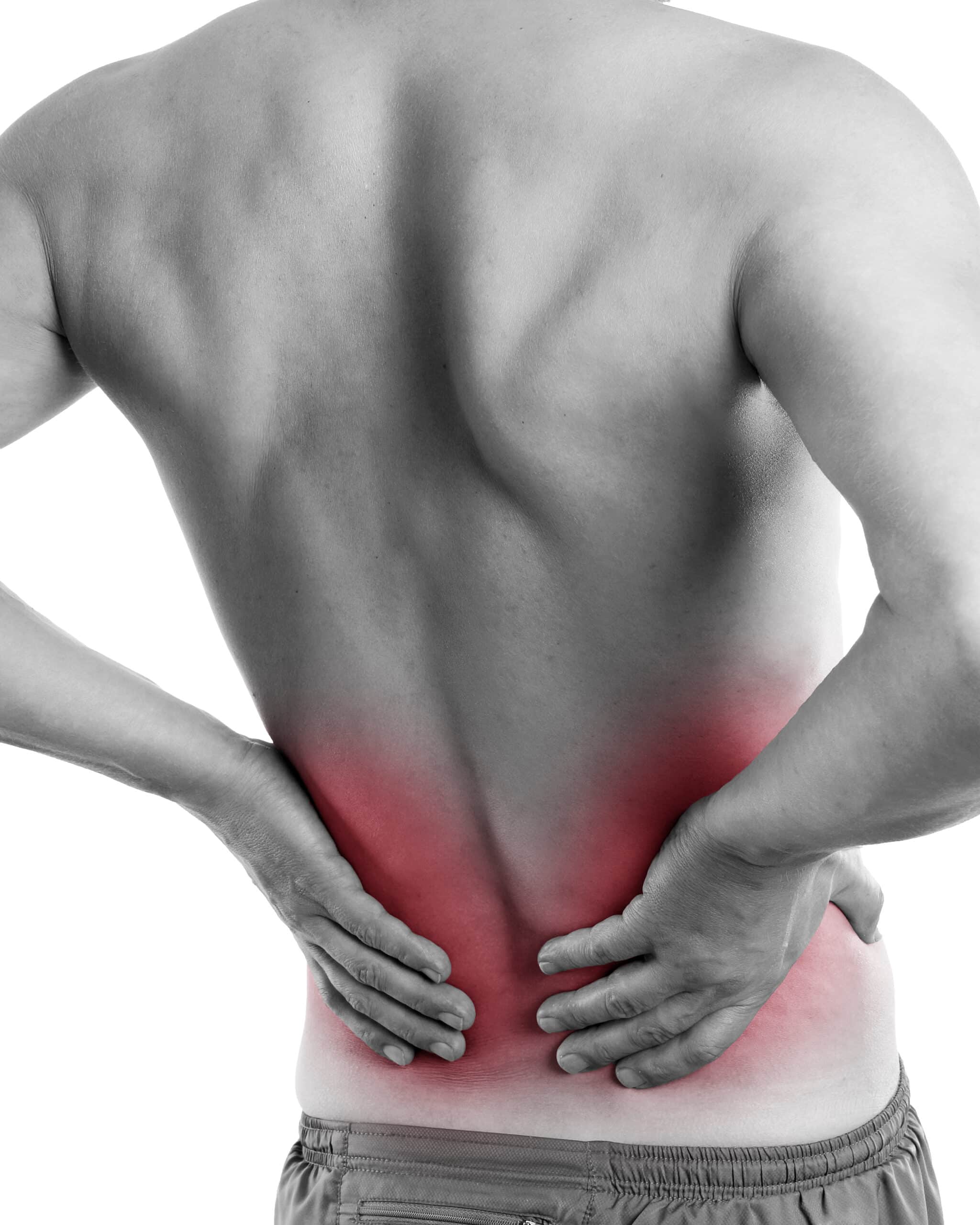 Hernia Bulging Disc Discusprotrusie